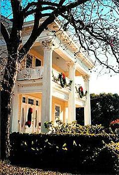 Evas Escape At The Gardenia Inn 샌안토니오 외부 사진